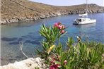 Aegean View Tinos