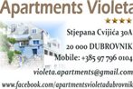 Apartments Violeta 1