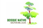 Bosque Nativo
