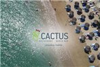 cactus beach paros