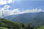Darjeeling Tea Garden Homestays