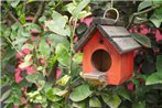 Colibri B&B