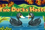 Two Ducks hostel