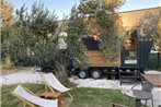 Modern Tiny House Surrounded by Olive Trees in Ayvacik