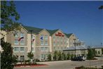 Hilton Garden Inn Denton