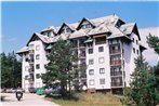 Golden pine on Zlatibor