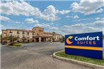 Comfort Suites Wright Patterson